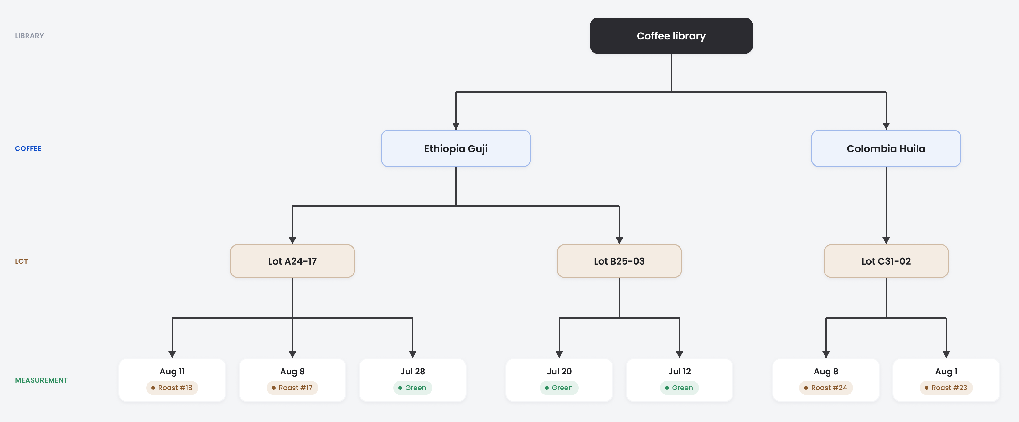 Information architecture: the coffee library branches into coffees such as Ethiopia Guji and Colombia Huila, each coffee into its lots, and each lot into the individual measurements taken from it.