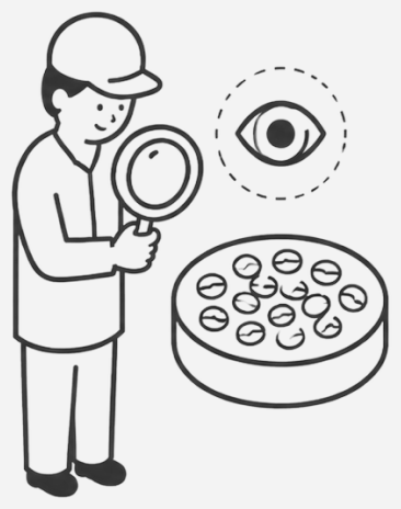 A roaster inspecting beans for defects with a magnifier